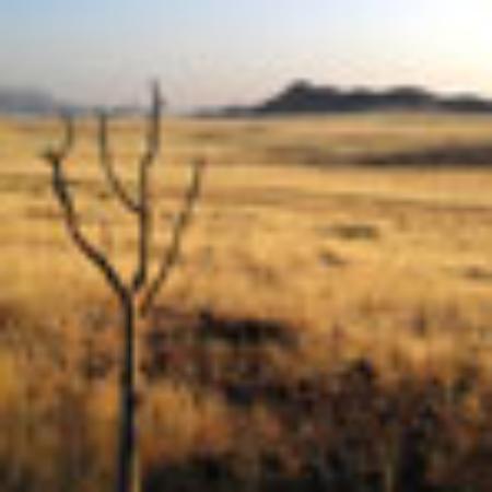 Osteria N 1000 Da Rullo